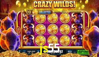 Ofertas Imperdíveis na js55: Promoções e Bônus Que Valem a Pena